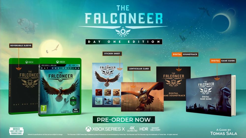 the falconeer.jpg